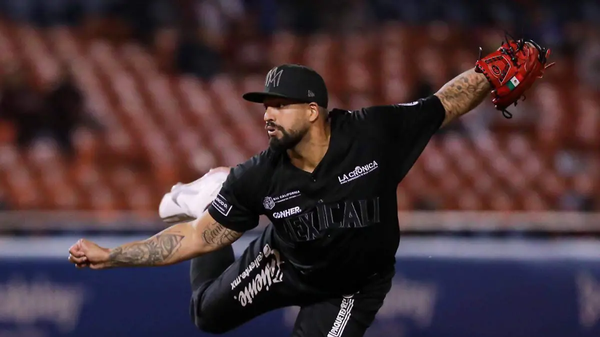 WhatsApp Image 2025-07-29 at 15.53.52