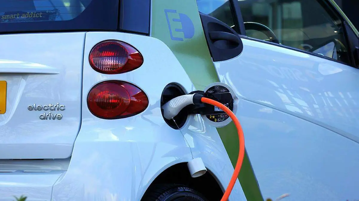 pexels-mikebirdy-110844