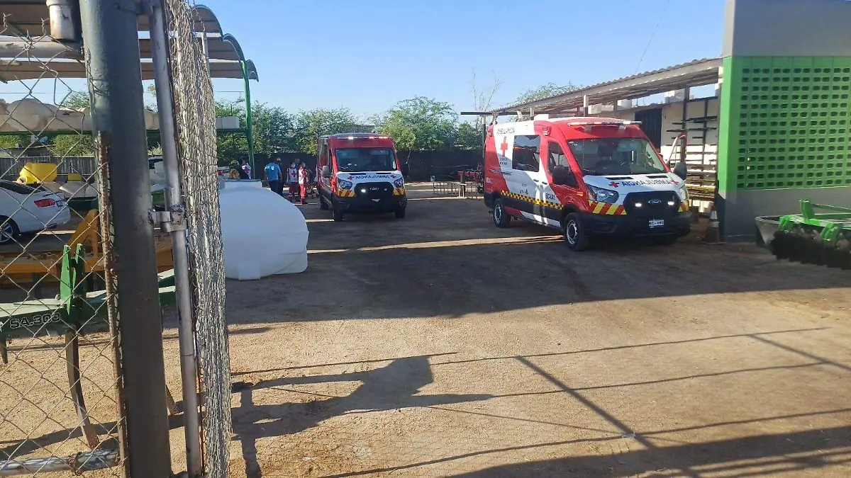 Choca tractocamión contra un negocio sobre carretera San Luis