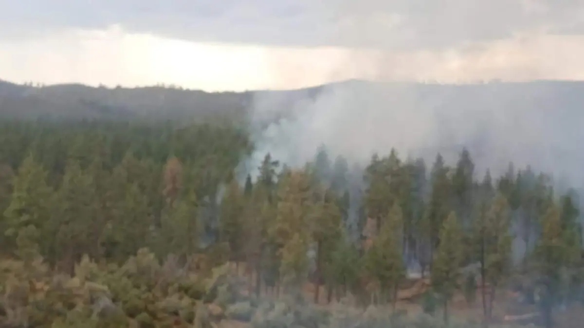 Incendio en Sierra de San Pedro Mártir