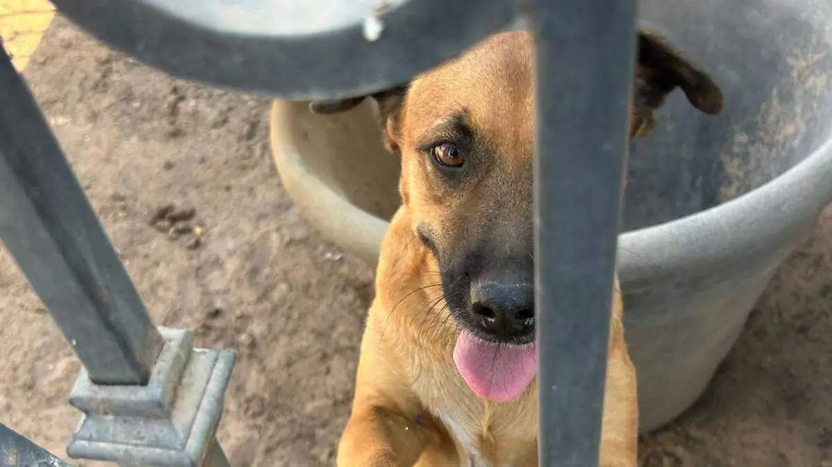 WhatsApp Image 2025-08-18 at 1.02.34 PM