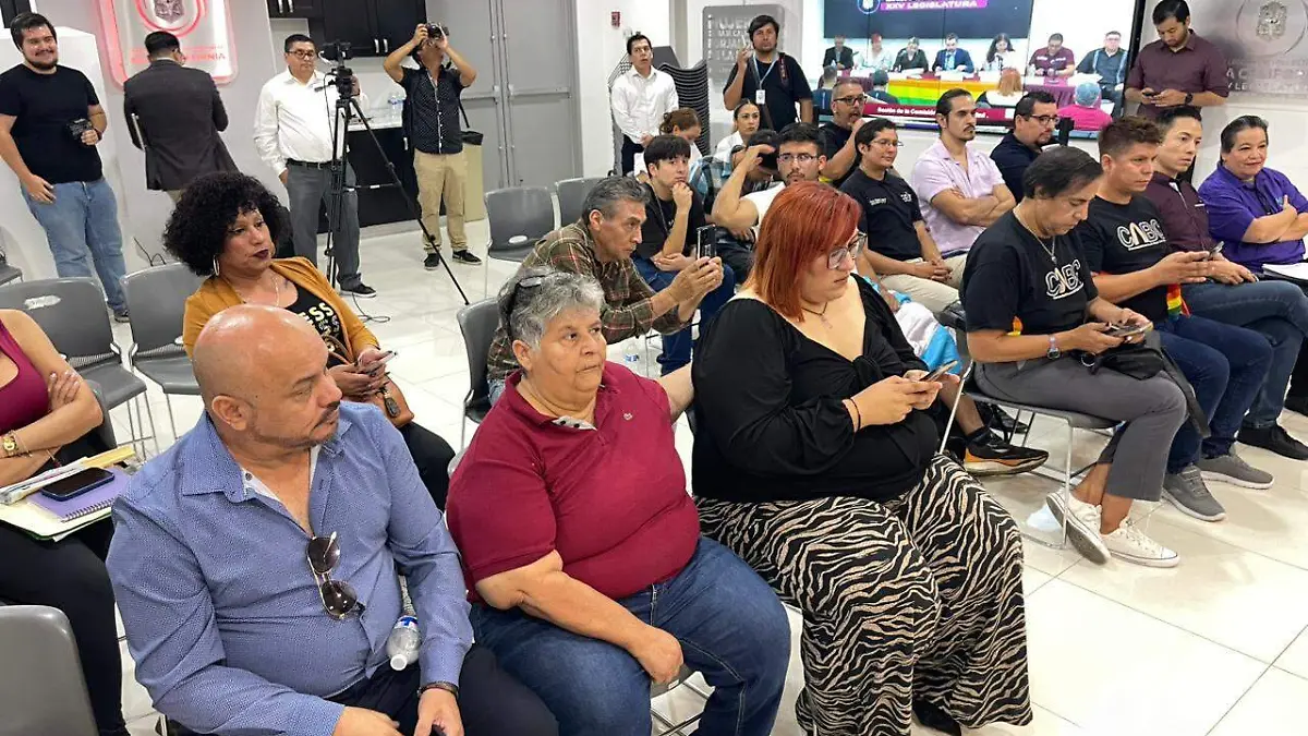 Comisión de diversidad