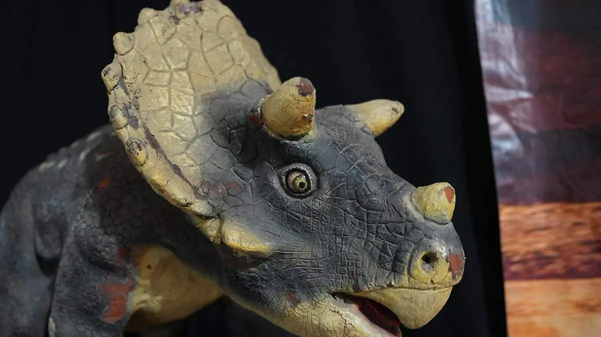 Inauguran “Tierra jurásica”, la exposición de Dinosaurios en CEART