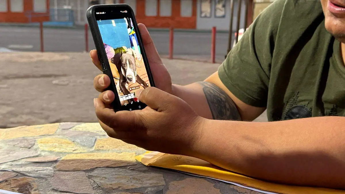 Dueño de pitbull ofrece apoyo a la familia tras supuesto ataque