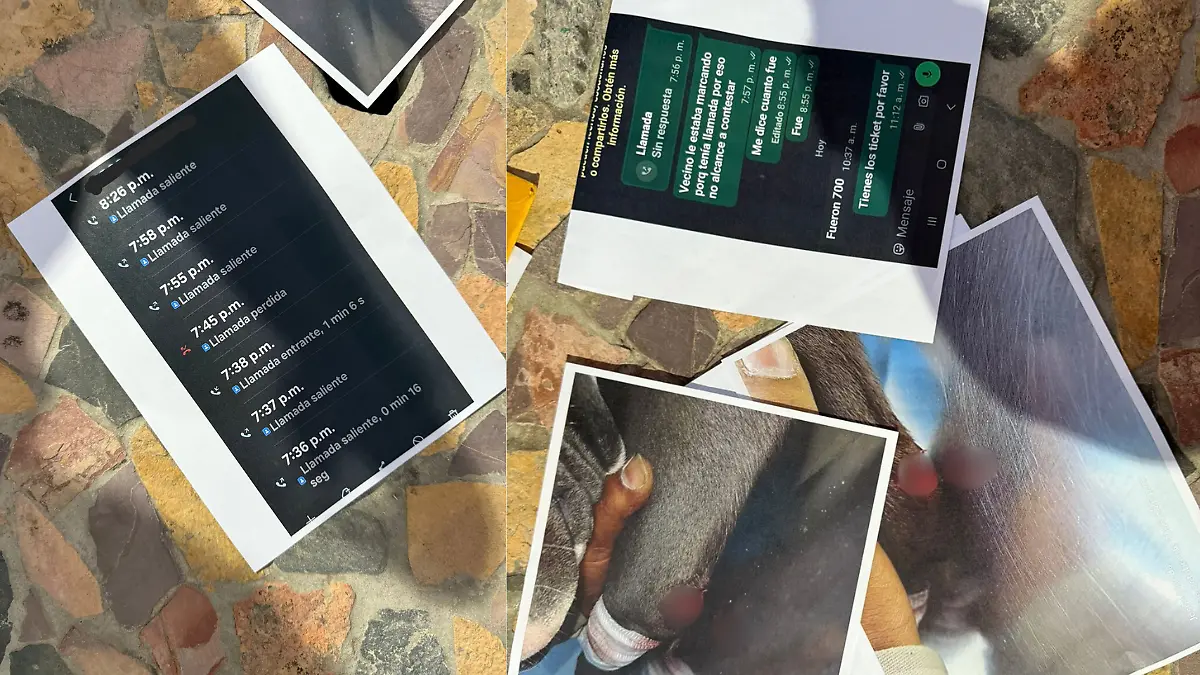 Dueño de pitbull ofrece apoyo a la familia tras supuesto ataque