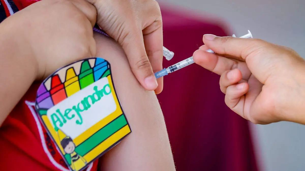 WhatsApp Image 2025-10-28 at 1.27.23 PM