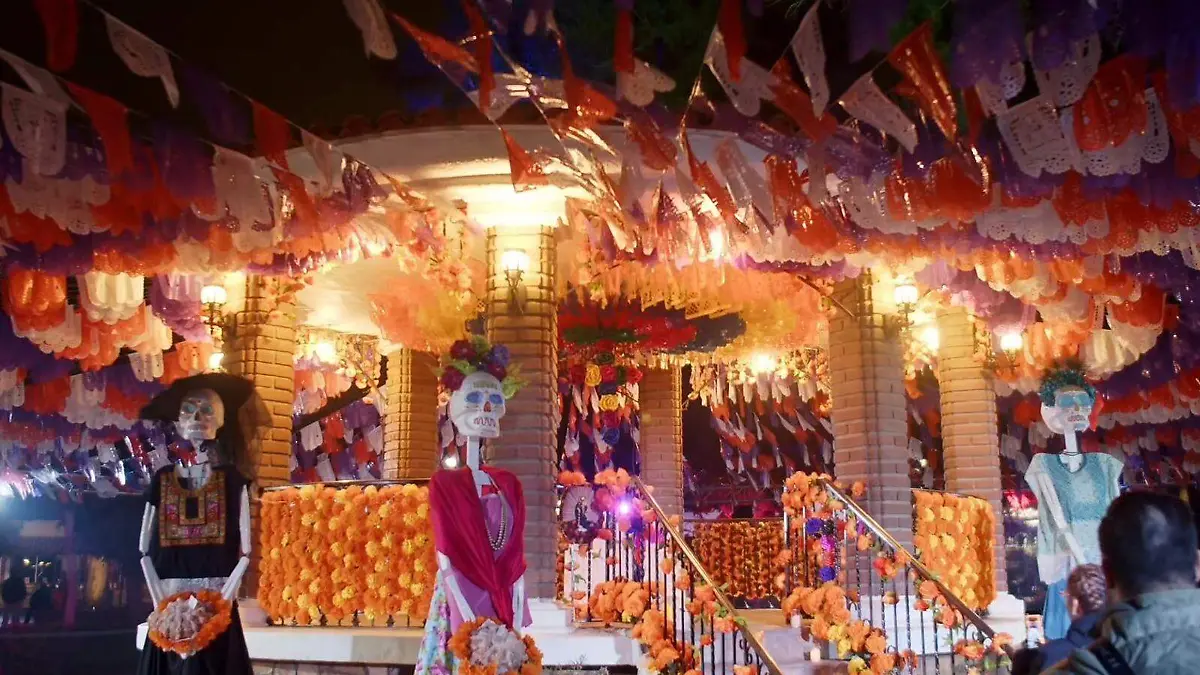 WhatsApp Image 2025-10-29 at 11.59.28 AM