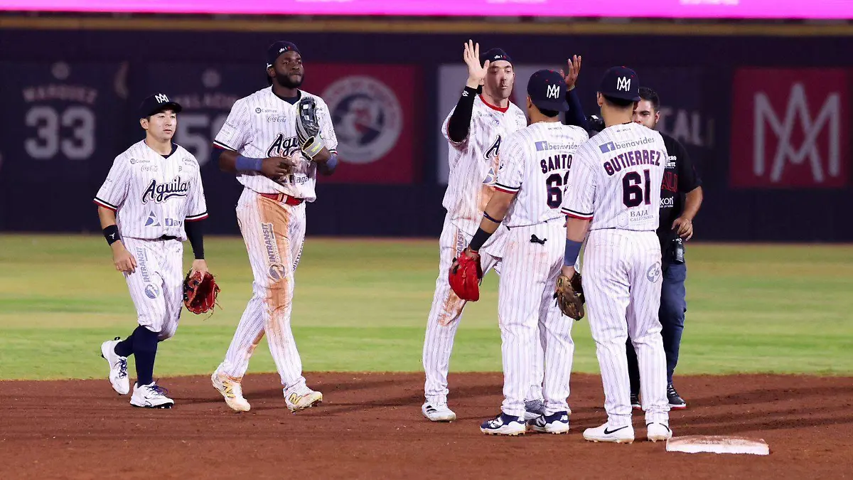 WhatsApp Image 2025-11-01 at 10.37.40 PM