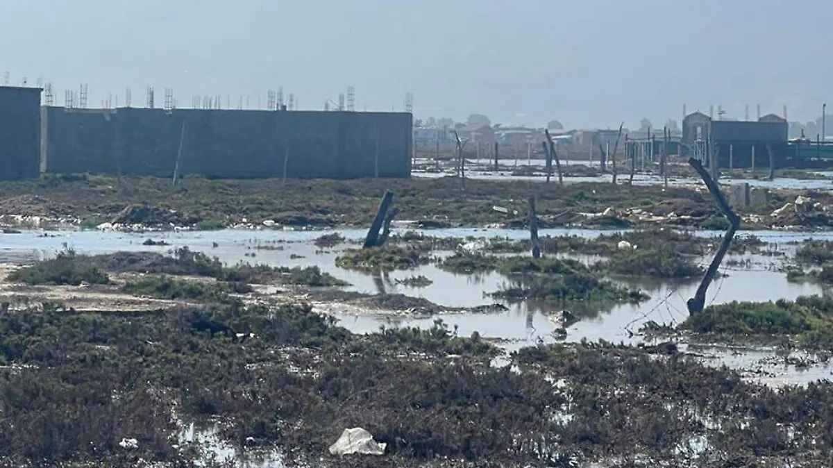 Inundaciones Ensenada 3