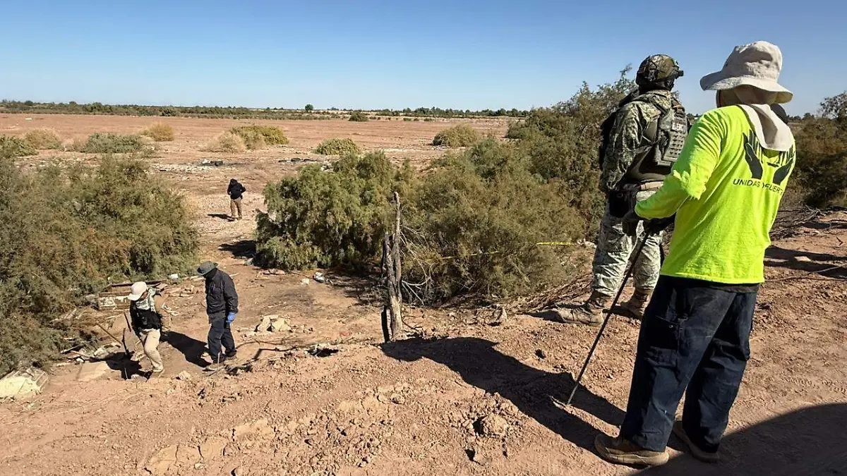Búsqueda en La Pluma