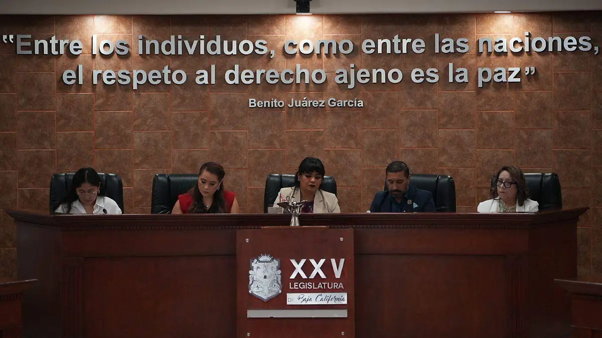 WhatsApp Image 2025-11-12 at 5.40.42 PM