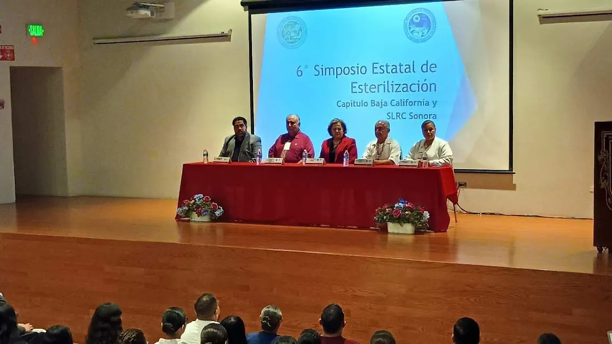 WhatsApp Image 2025-11-13 at 6.36.01 PM