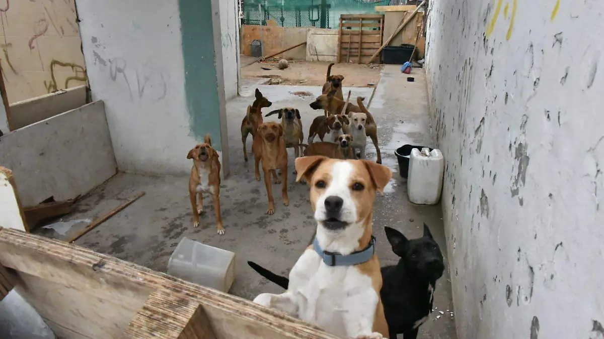 WhatsApp Image 2025-11-15 at 10.45.39 AM