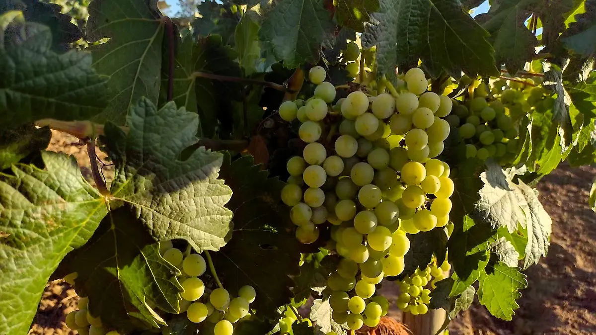 292102944_334504958890947_474837803841506026_n