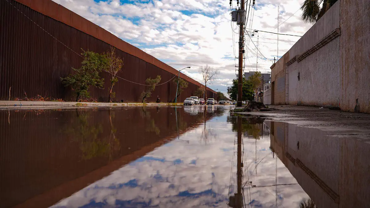 WhatsApp Image 2025-11-18 at 8.52.39 AM