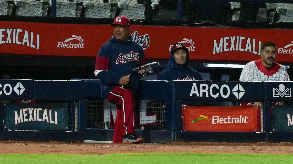 WhatsApp Image 2025-11-18 at 8.19.27 PM