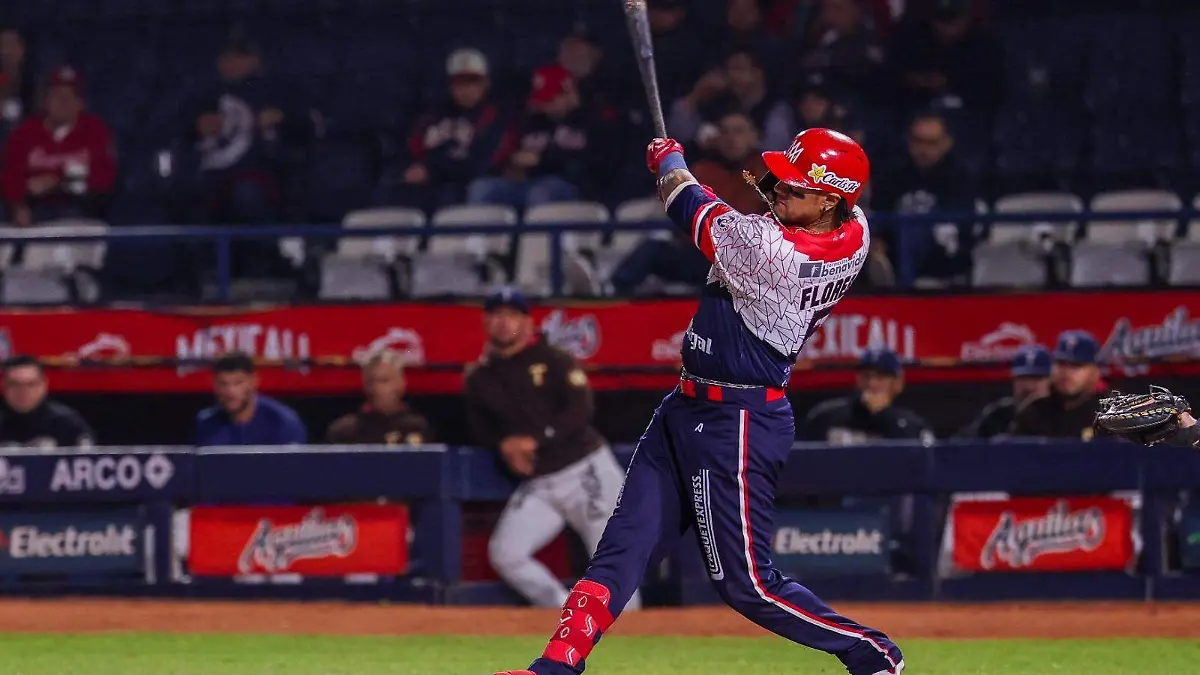 WhatsApp Image 2025-11-19 at 11.18.14 PM