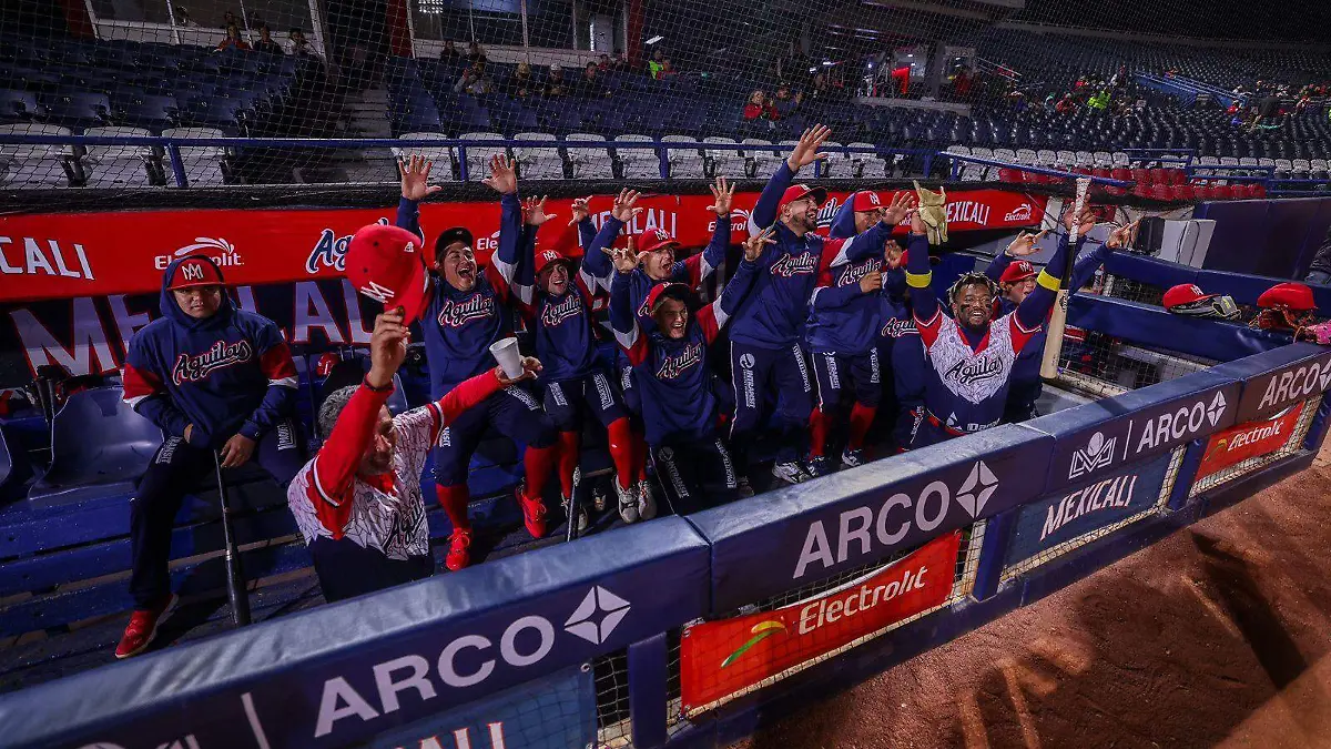 WhatsApp Image 2025-11-20 at 10.36.45 PM (3)