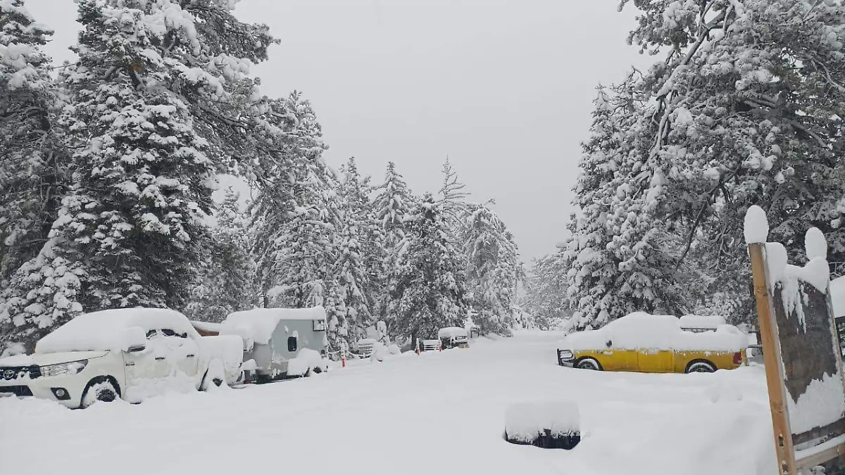 WhatsApp Image 2025-11-22 at 8.36.33 AM