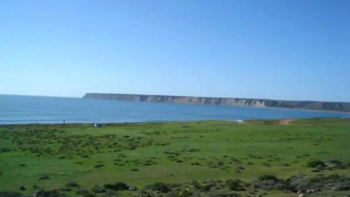 image - 2025-11-22T132543.349