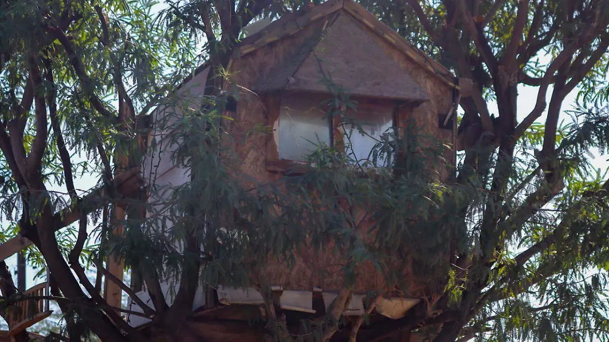 Casa del árbol