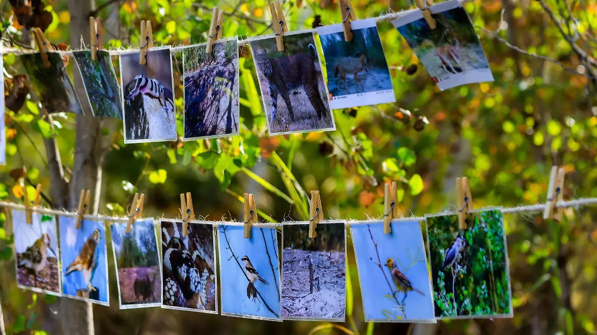 2 OEM heineken cuenca medio ambiente