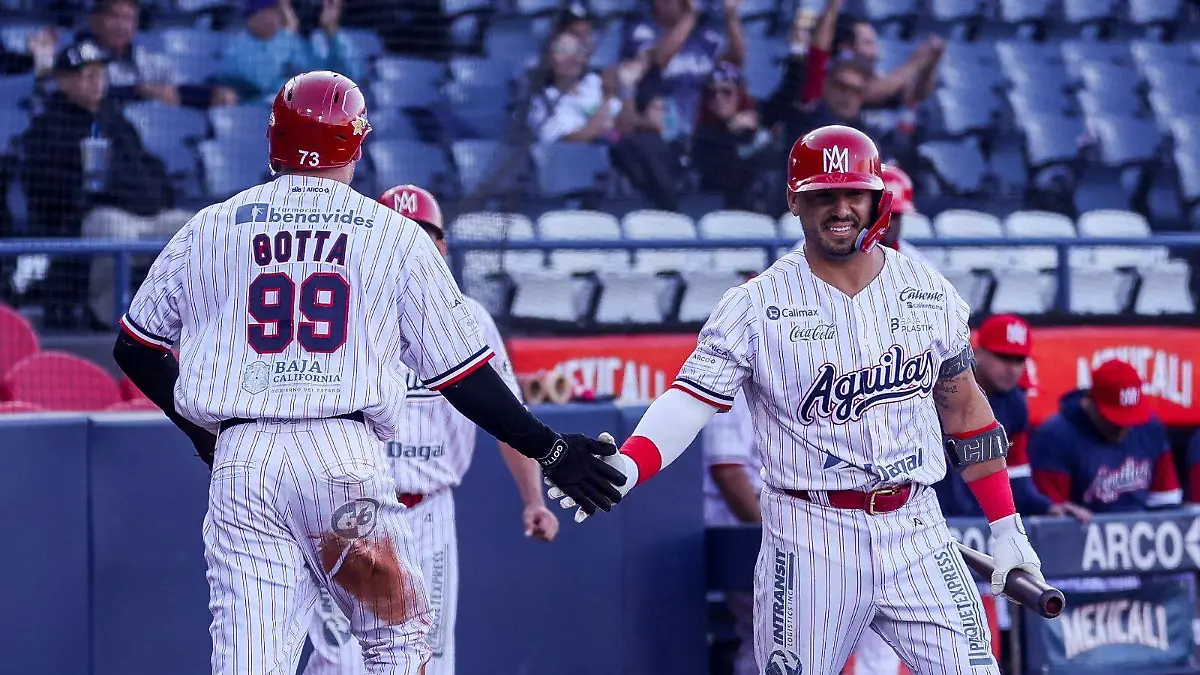 WhatsApp Image 2025-11-30 at 6.24.32 PM