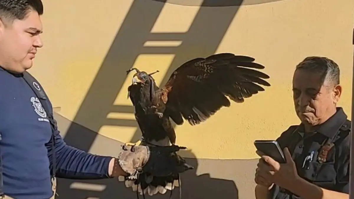 WhatsApp Image 2025-12-10 at 10.02.32 AM