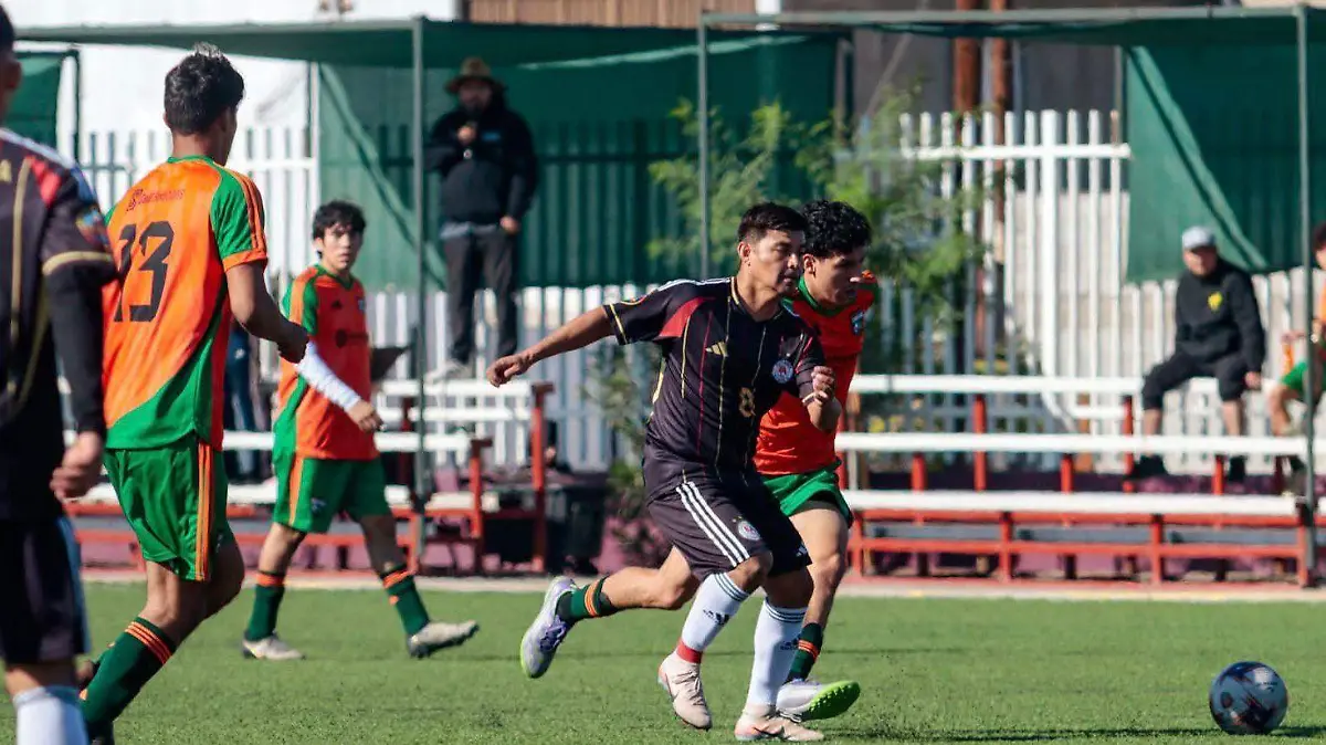 WhatsApp Image 2025-12-10 at 14.24.03