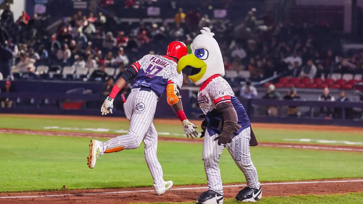 WhatsApp Image 2025-12-10 at 10.48.53 PM