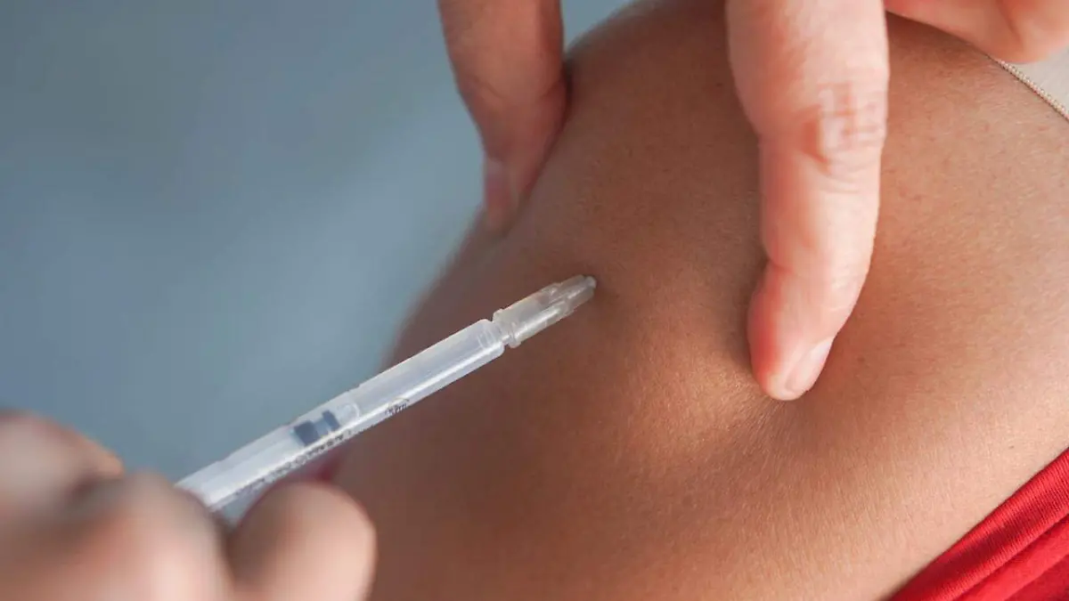 WhatsApp Image 2025-12-16 at 2.09.31 PM (1)