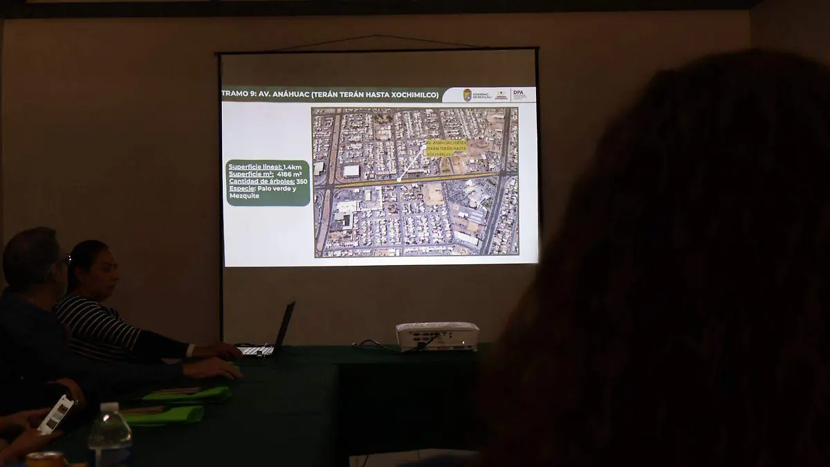 Proyectan reforestar más de 6 mil árboles en eco-corredores durante 2026: DPA