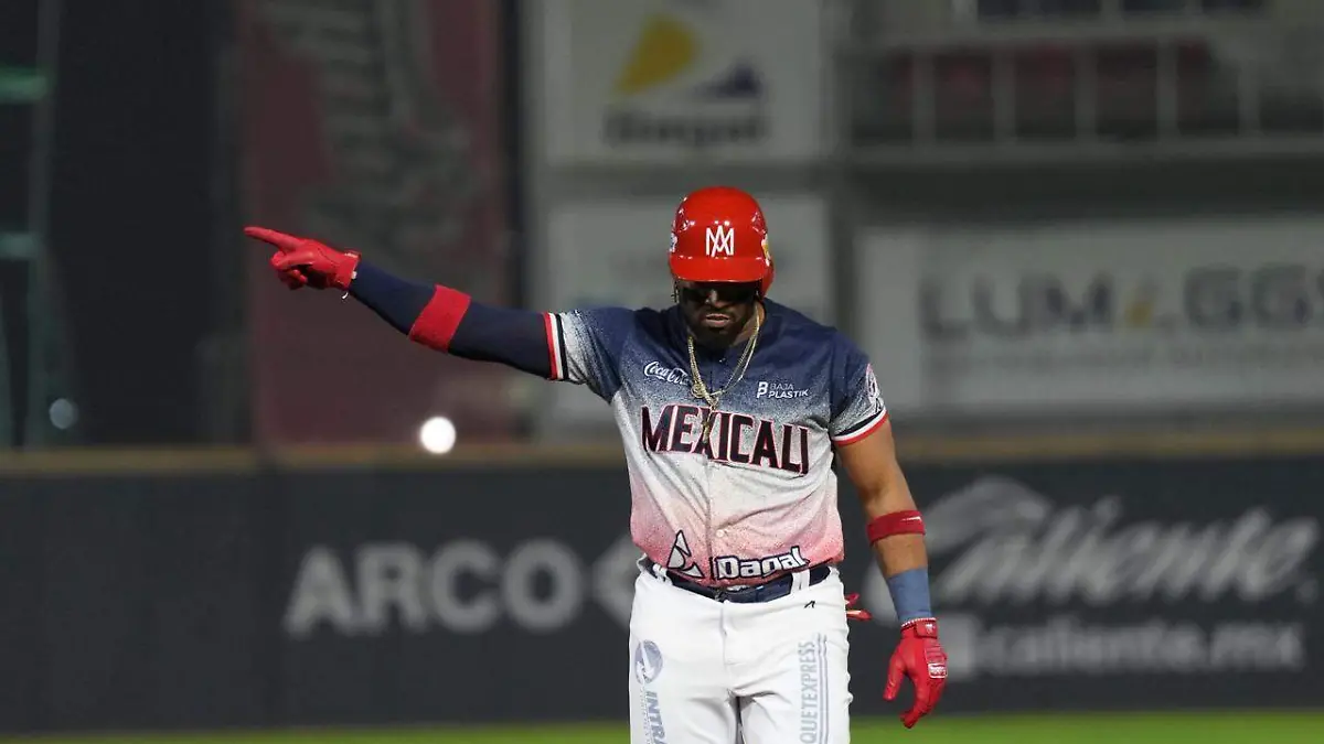 WhatsApp Image 2025-12-16 at 11.20.16 PM