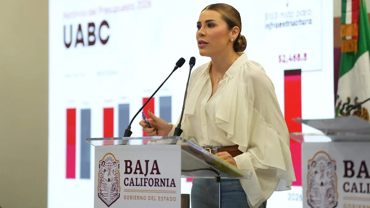 WhatsApp Image 2025-12-17 at 10.41.04 AM