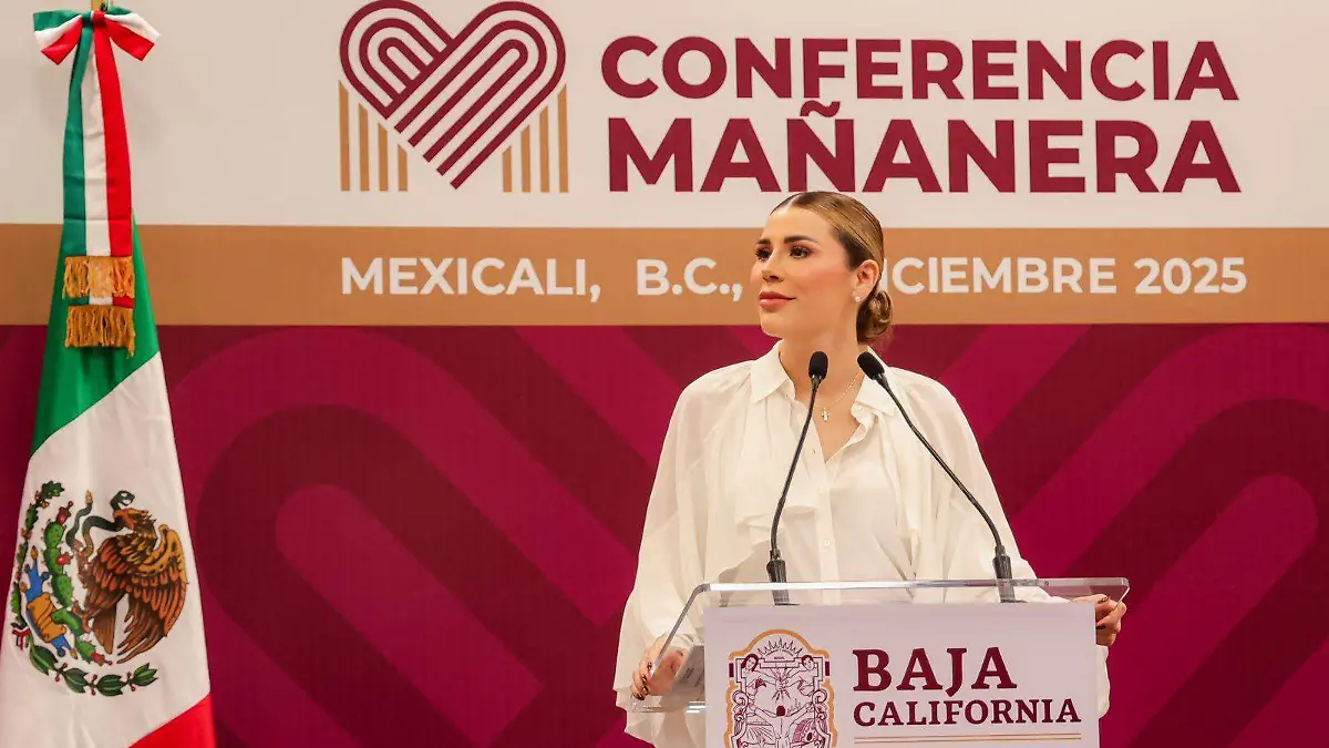 WhatsApp Image 2025-12-17 at 4.44.10 PM