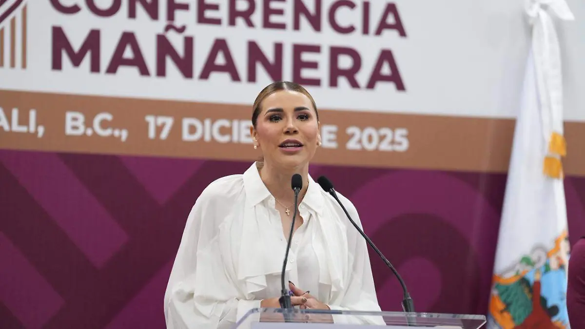 WhatsApp Image 2025-12-17 at 10.41.05 AM