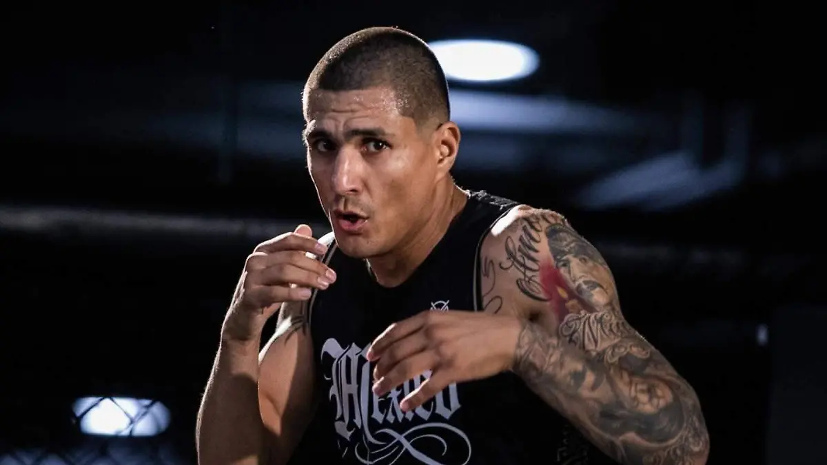 WhatsApp Image 2025-12-18 at 13.55.51