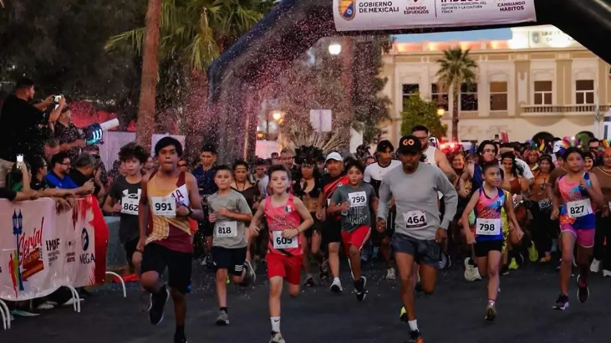 WhatsApp Image 2025-12-18 at 14.17.45