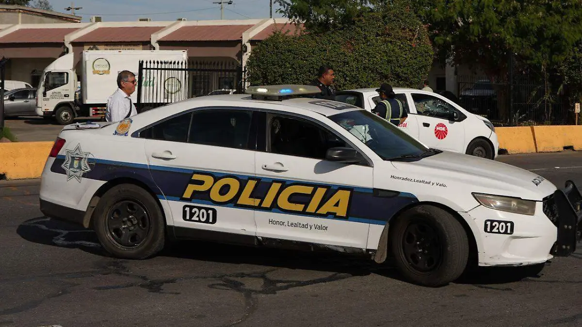 WhatsApp Image 2025-12-22 at 12.59.13 PM