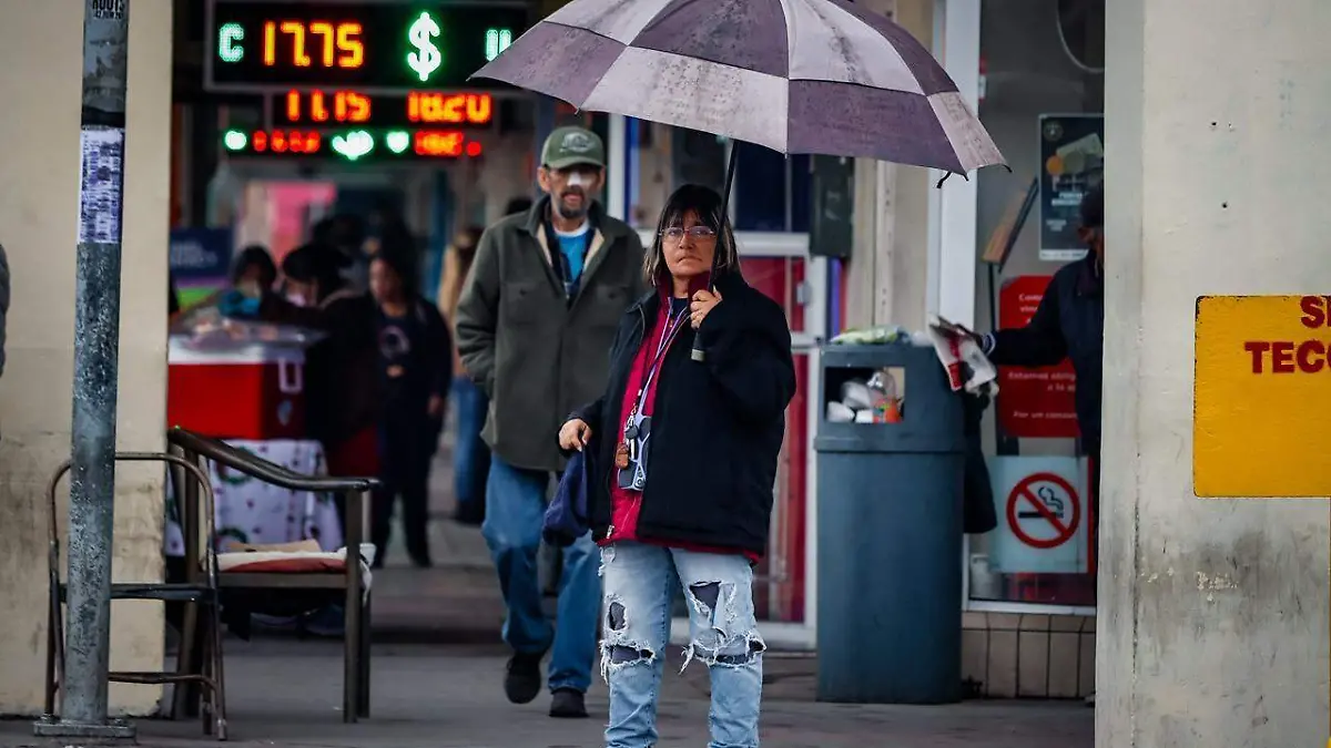 WhatsApp Image 2025-12-23 at 11.19.30 AM (2)