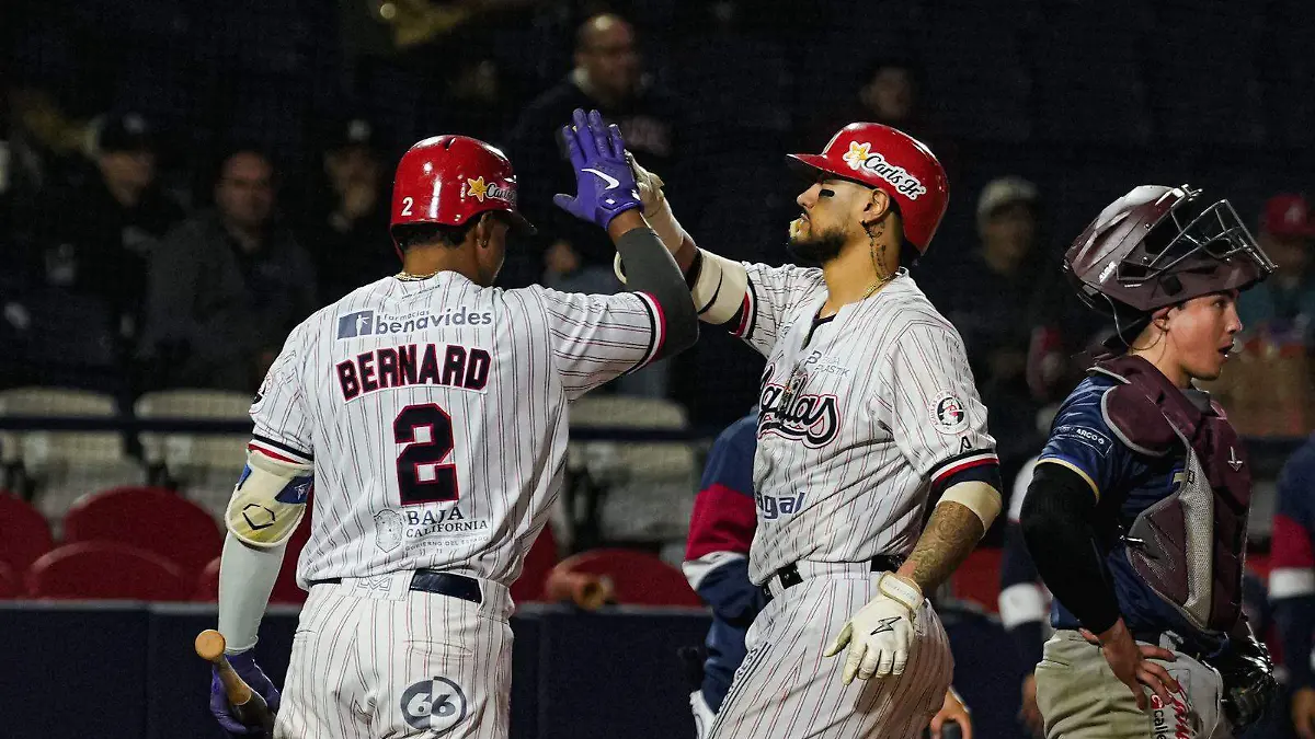 WhatsApp Image 2025-12-23 at 10.04.01 PM