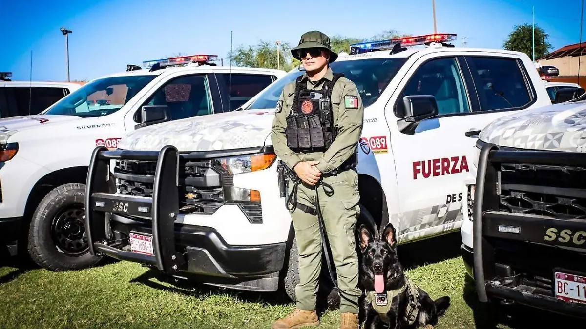 WhatsApp Image 2025-12-26 at 12.11.25 PM