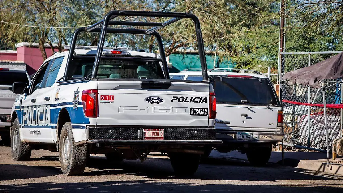 WhatsApp Image 2025-12-27 at 9.51.55 AM