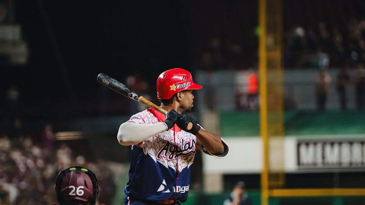 WhatsApp Image 2025-12-27 at 8.32.44 PM