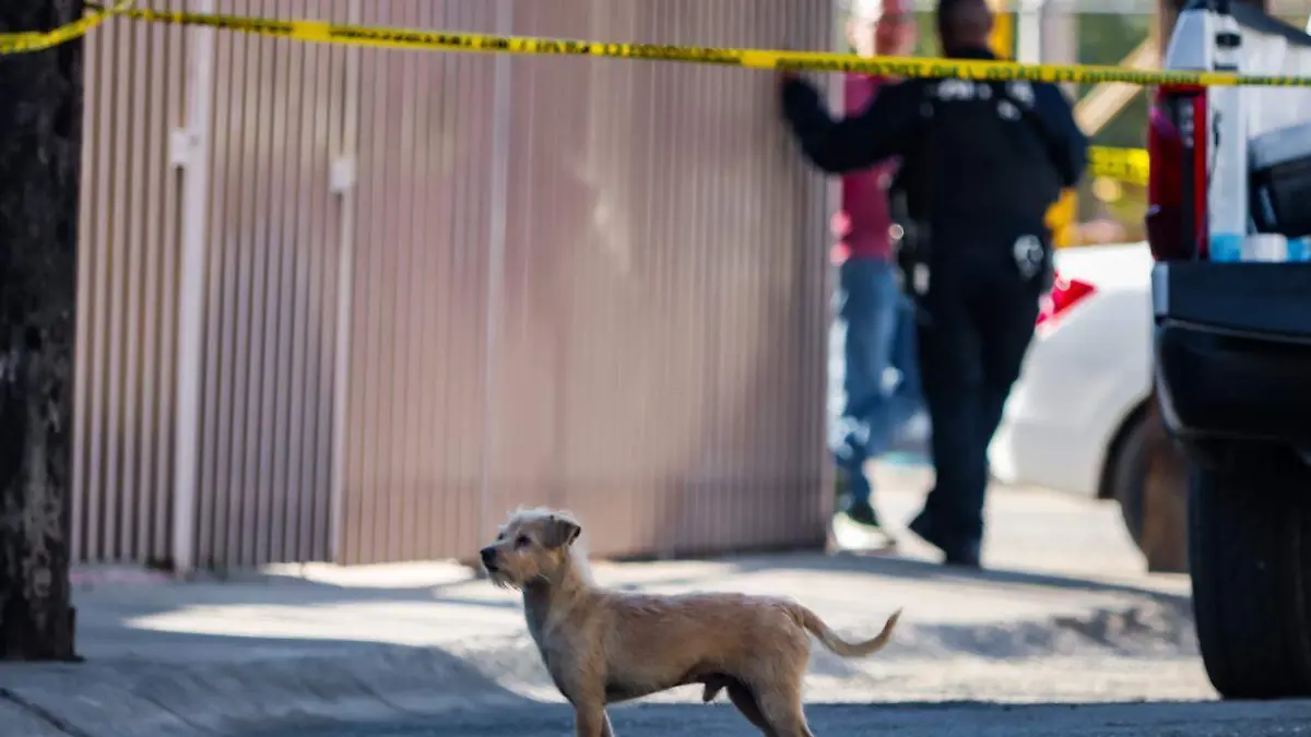 WhatsApp Image 2025-12-28 at 10.12.31 AM