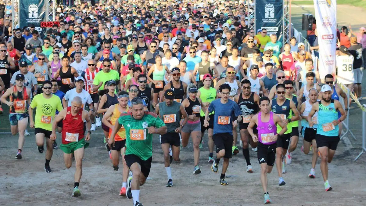 WhatsApp Image 2025-12-28 at 3.38.16 PM (1)