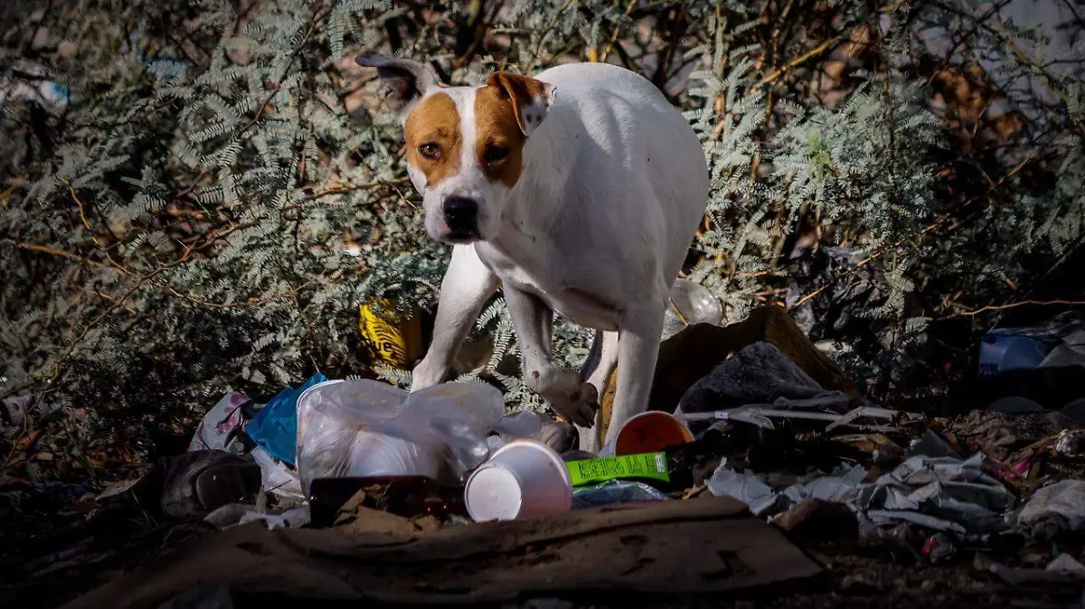 WhatsApp Image 2025-12-28 at 12.26.27 PM