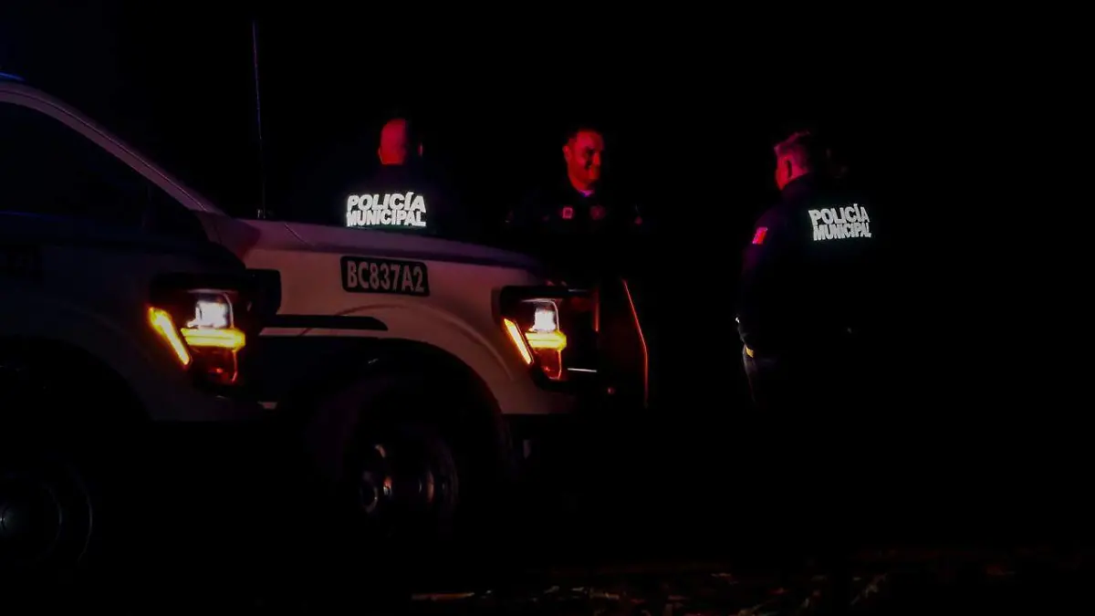 WhatsApp Image 2025-12-27 at 8.29.48 PM