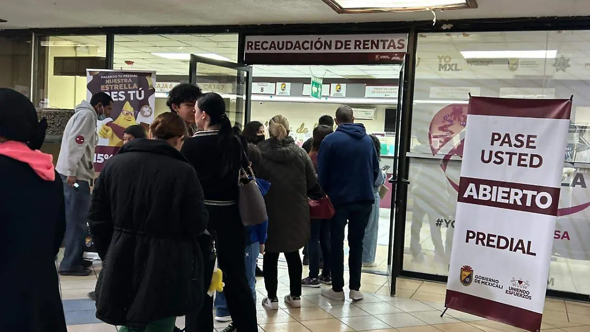 WhatsApp Image 2025-12-30 at 2.52.22 PM