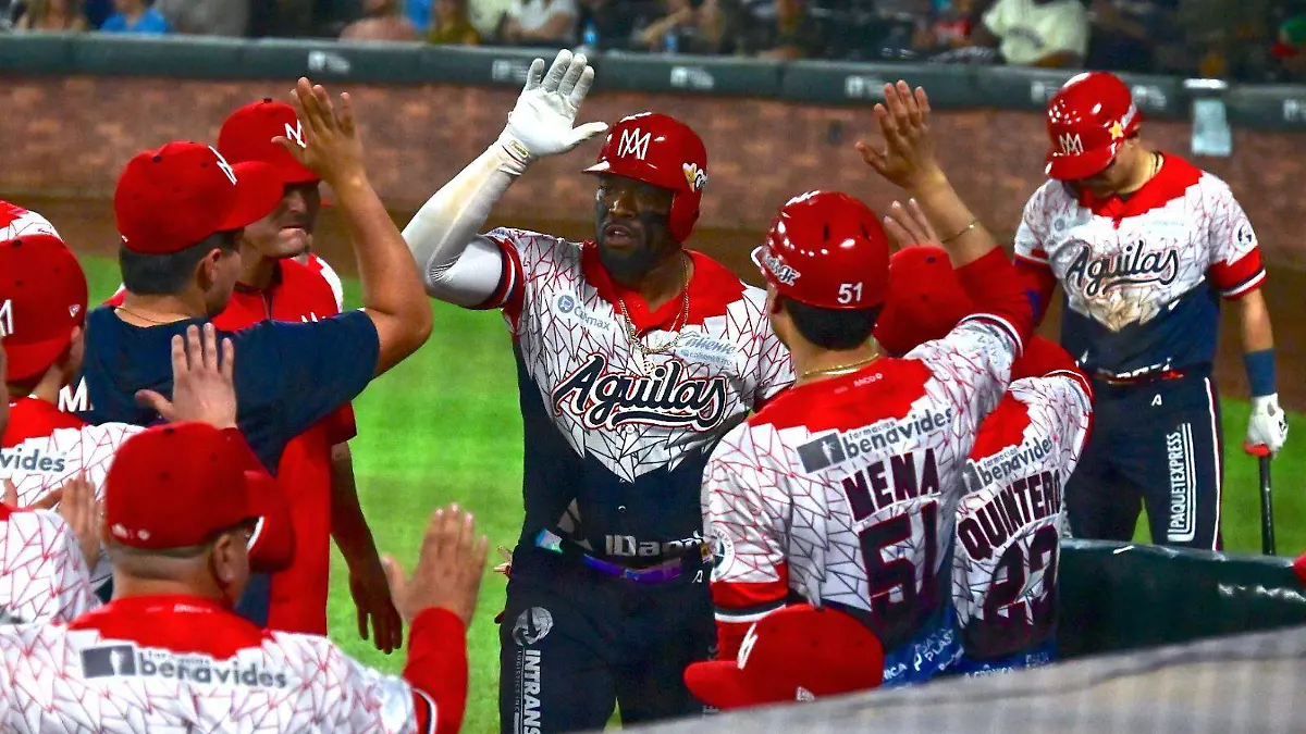 WhatsApp Image 2026-01-01 at 7.59.56 PM (4)